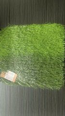 filled Lawns Artificial Grass Carpet Plant  sport Outdoor Turf  to Australia,HealthLife,filled Lawns Artificial Grass Carpet Plant  sport Outdoor Turf  to Australia