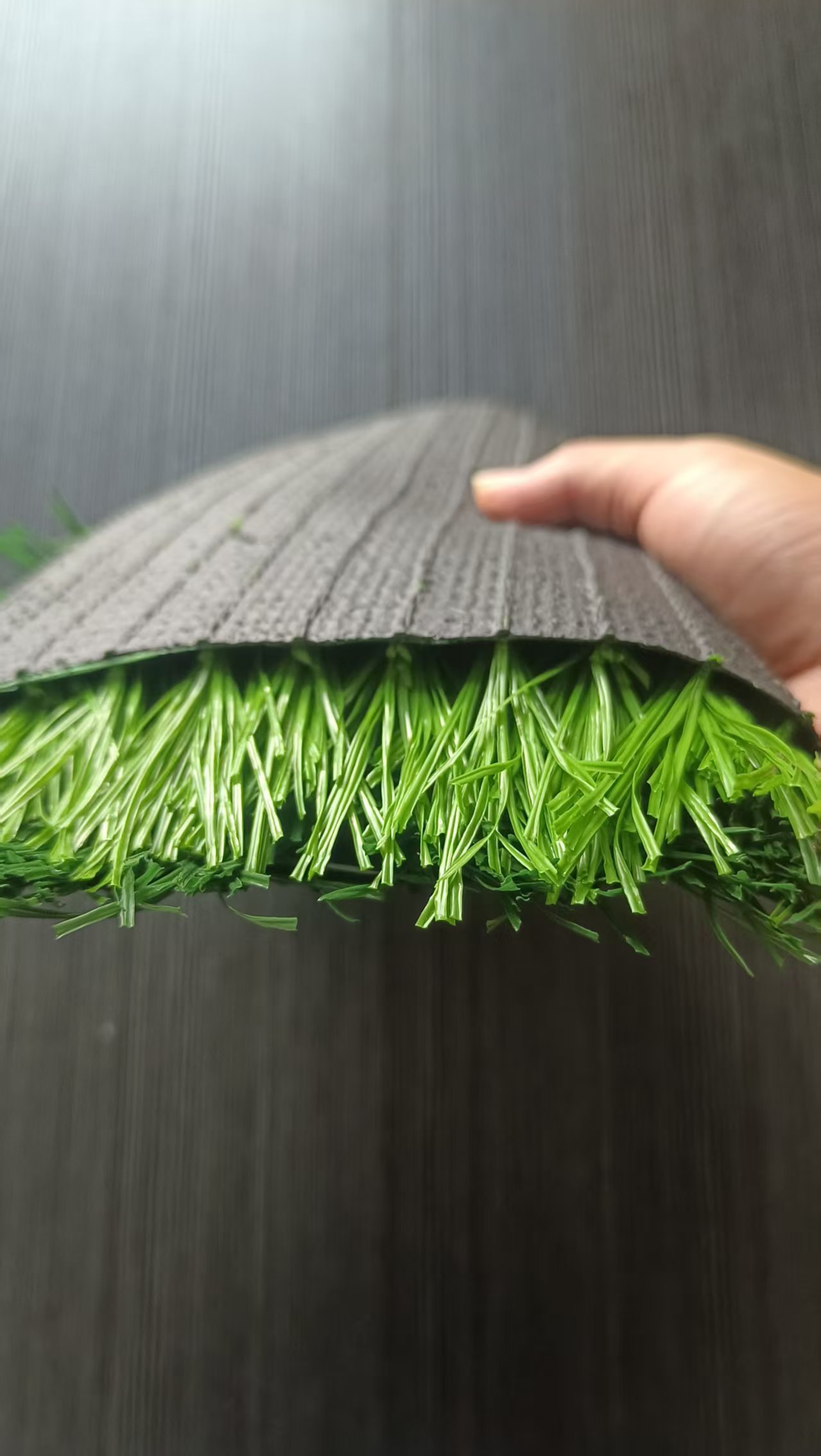 2026 filled Lawns  Soccer Field Turf Carpet Plant  sport Outdoor Turf  to Australia with moq 2000sqm,Qianshu Turf,2026 filled Lawns  Soccer Field Turf Carpet Plant  sport Outdoor Turf  to Australia with moq 2000sqm