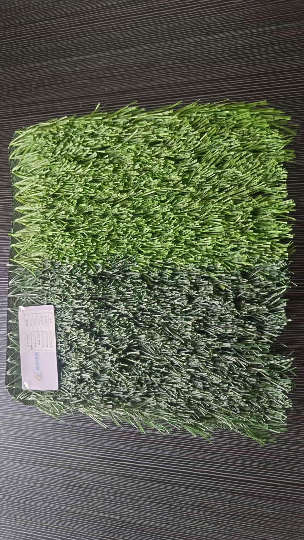2026 filled Lawns  Soccer Field Turf Carpet Plant  sport Outdoor Turf  to Australia with moq 2000sqm,Qianshu Turf,2026 filled Lawns  Soccer Field Turf Carpet Plant  sport Outdoor Turf  to Australia with moq 2000sqm