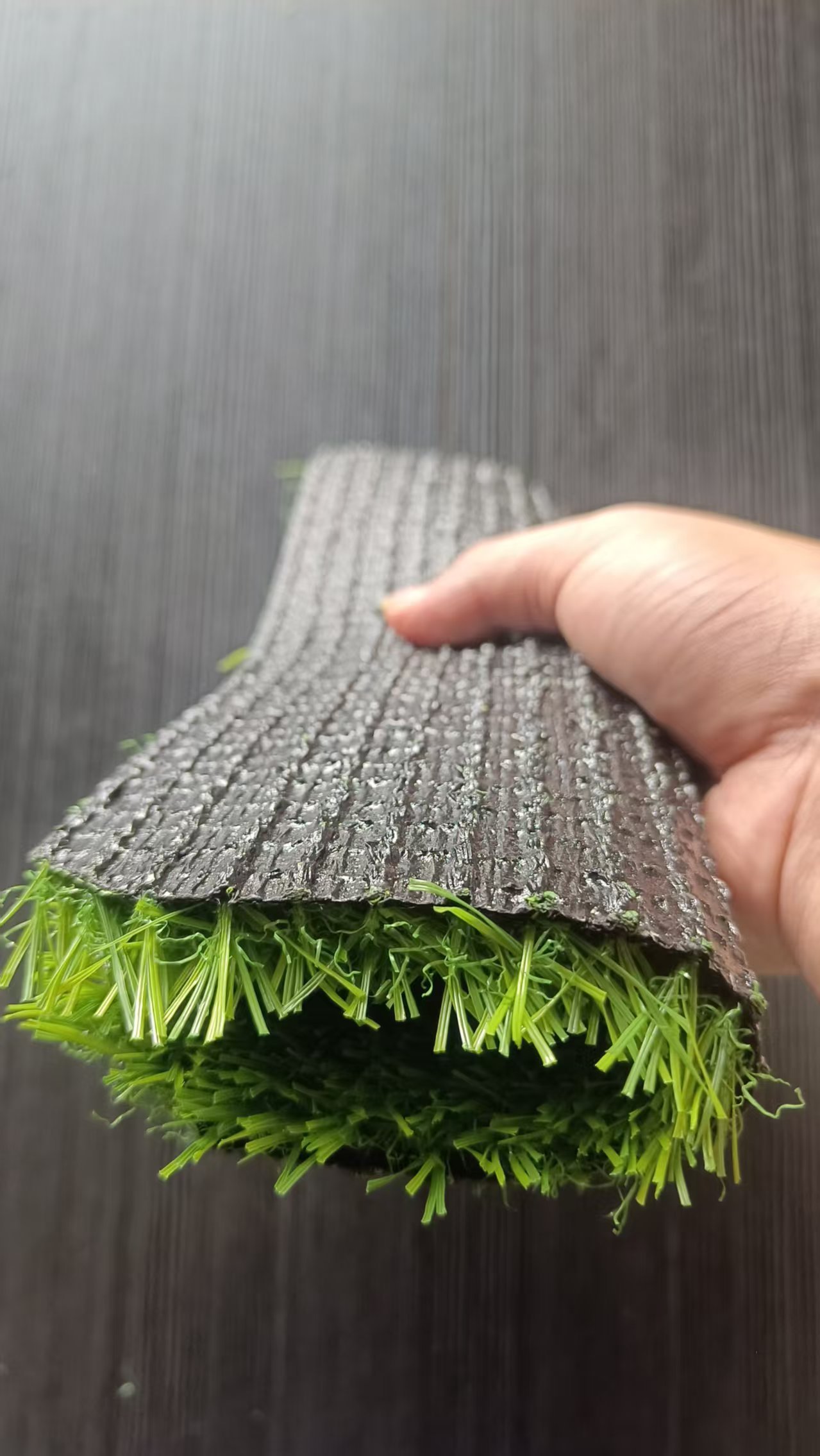 China Lawns Artificial turf Carpet  soccer field turf  sport Outdoor Turf  to Australia with MOQ 1500sqm,Qianshu Turf,China Lawns Artificial turf Carpet  soccer field turf  sport Outdoor Turf  to Australia with MOQ 1500sqm