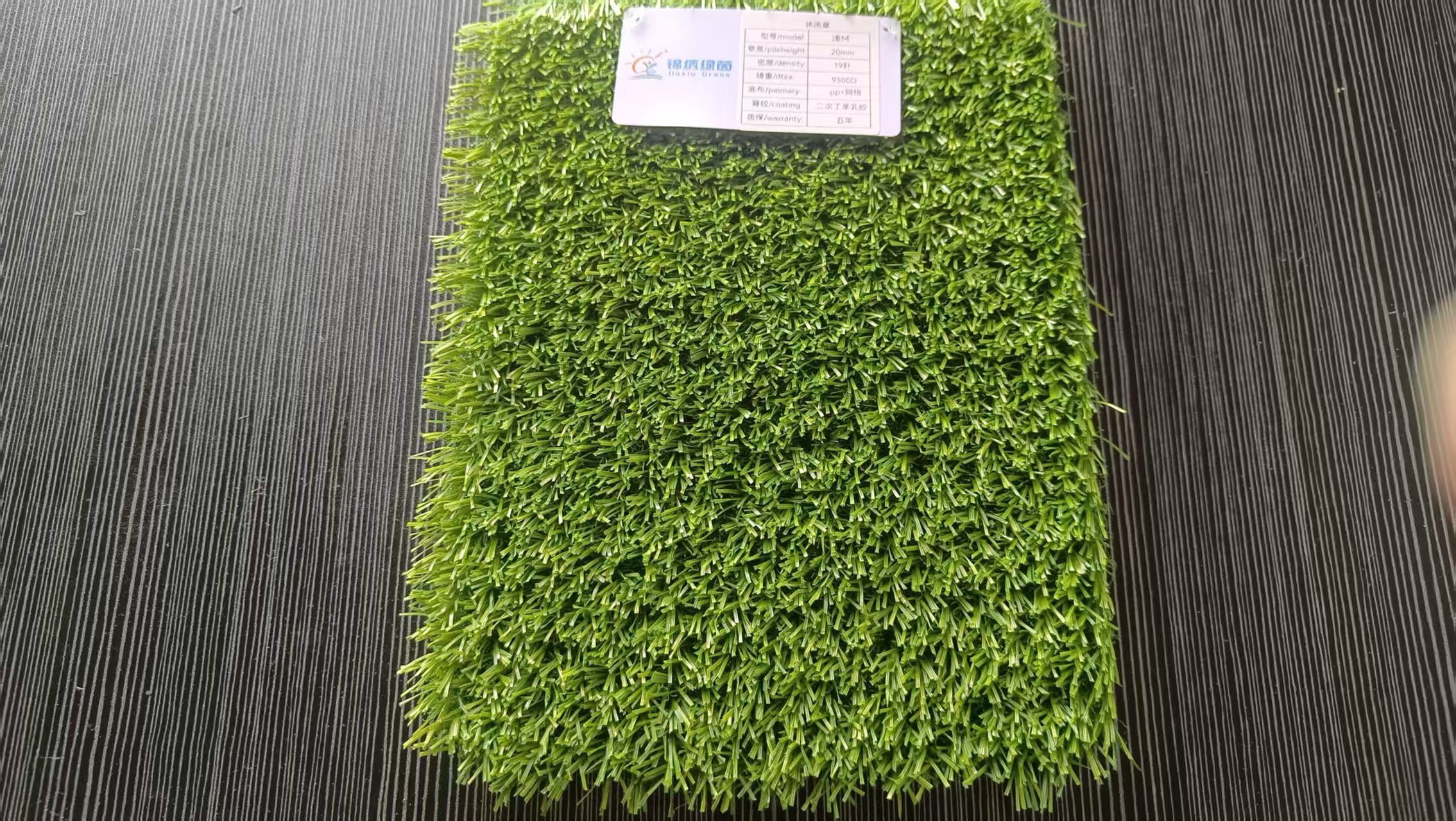 China Lawns Artificial turf Carpet  soccer field turf  sport Outdoor Turf  to Australia with MOQ 1500sqm,Qianshu Turf,China Lawns Artificial turf Carpet  soccer field turf  sport Outdoor Turf  to Australia with MOQ 1500sqm