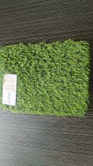 New fashionable artificial Turf Suitable for PP+PE Material for yard garden to  New Zeland with moq 2000sqm,Qianshu Turf,New fashionable artificial Turf Suitable for PP+PE Material for yard garden to  New Zeland with moq 2000sqm