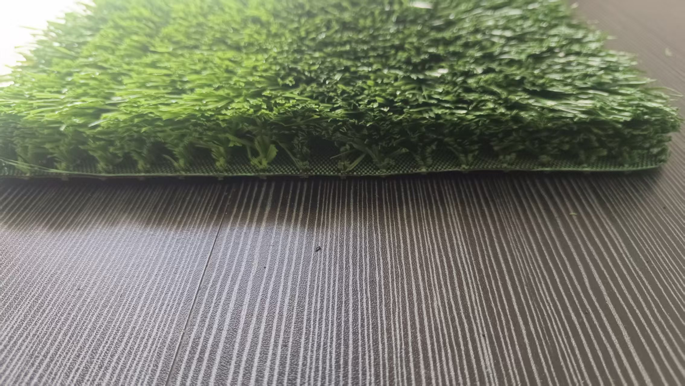 Chinese Lawns Artificial Grass Carpet Plant  sport Outdoor Turf  to Australia with 2000 sqm moq,Qianshu Turf,Chinese Lawns Artificial Grass Carpet Plant  sport Outdoor Turf  to Australia with 2000 sqm moq