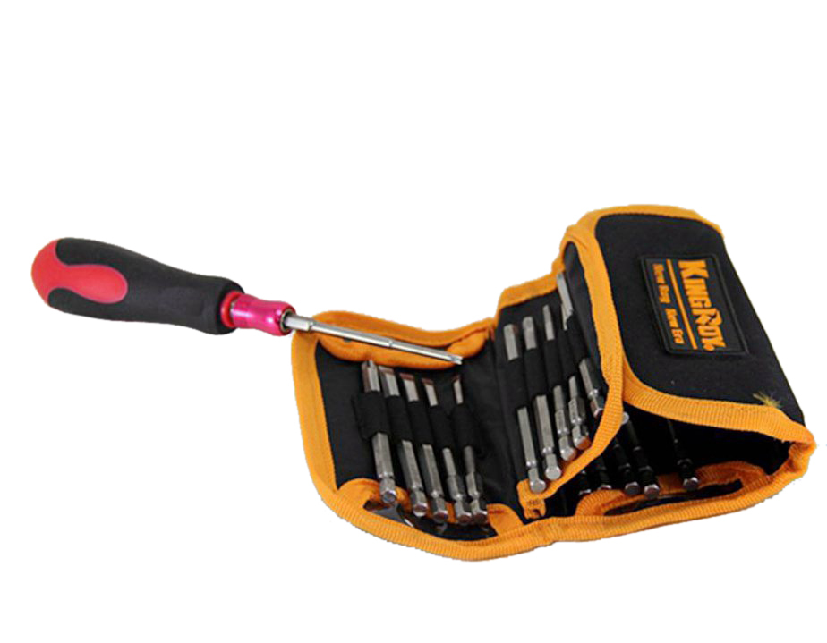 22pc Screwdriver Set: Quick Release Drive Handle+100mm Long Hex Torx Ph Pozi Bit