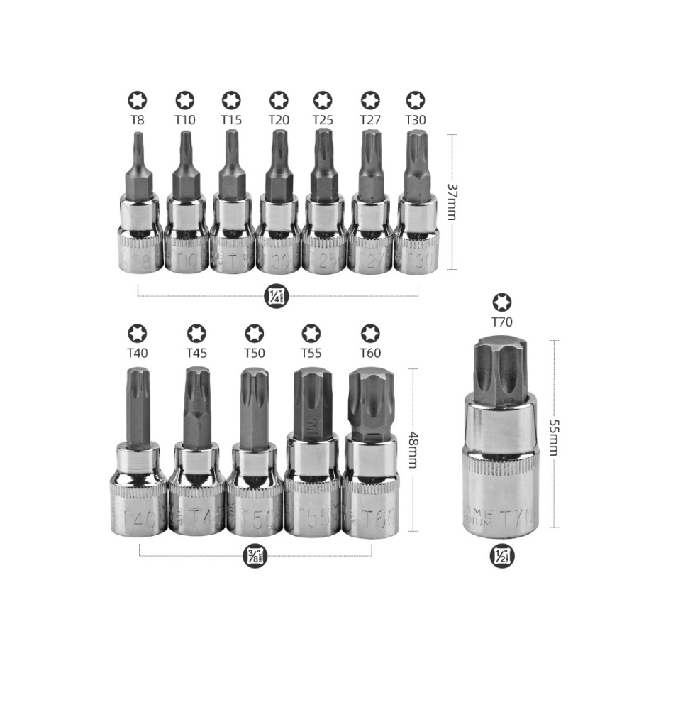 13pc Torx Socket Bits Set: 1/4" dr. T8-T30; 3/8" dr. T40-T60; 1/2" dr. T70