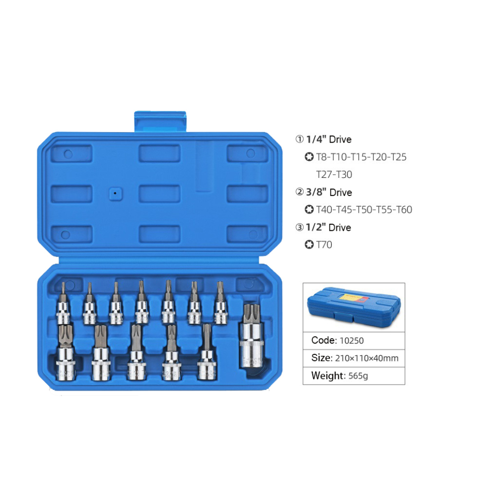 13pc Torx Socket Bits Set: 1/4" dr. T8-T30; 3/8" dr. T40-T60; 1/2" dr. T70