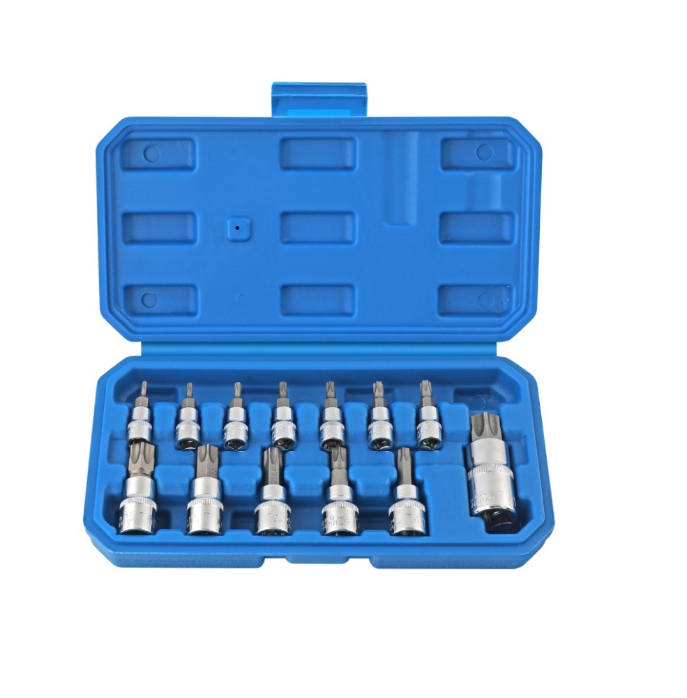 13pc Torx Socket Bits Set: 1/4" dr. T8-T30; 3/8" dr. T40-T60; 1/2" dr. T70
