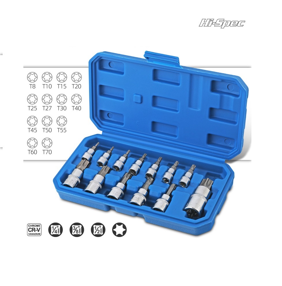 13pc Torx Socket Bits Set: 1/4" dr. T8-T30; 3/8" dr. T40-T60; 1/2" dr. T70