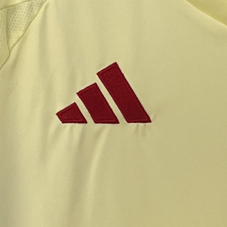 2024 Spain Euro Cup Away Football Jersey