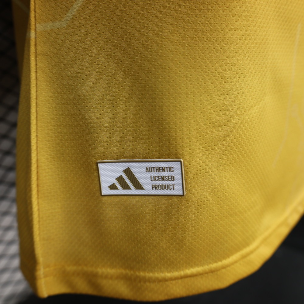 2026 Argentina World Cup Special Soccer Jersey Player Version