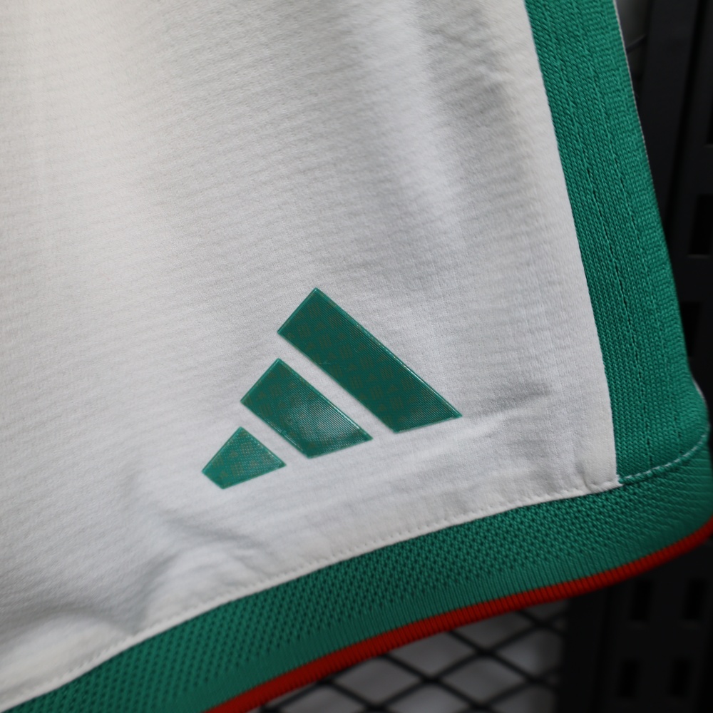 2026 Algeria Home World Cup Soccer Shorts Player Version