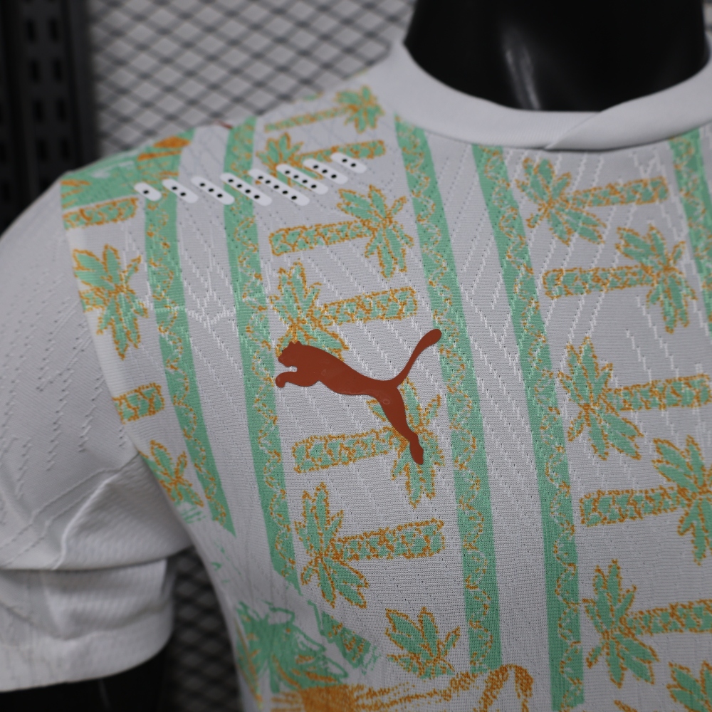 2026 Ivory Coast Away World Cup Soccer Jersey Player Version