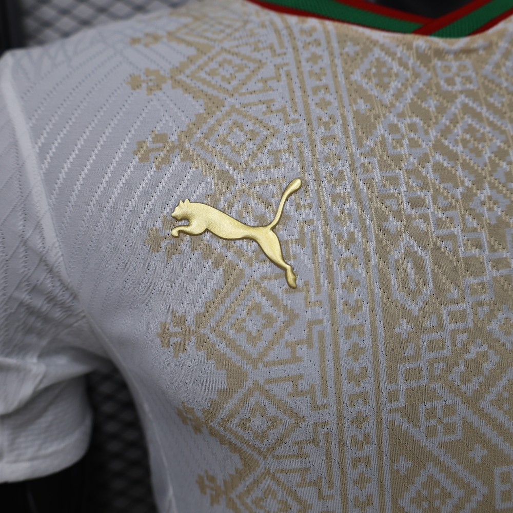 2026 Morocco Away World Cup Soccer Jersey Player Version
