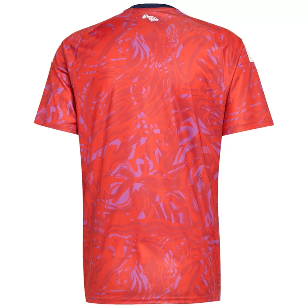 2026 Costa Rica  Home World Cup Soccer Jersey