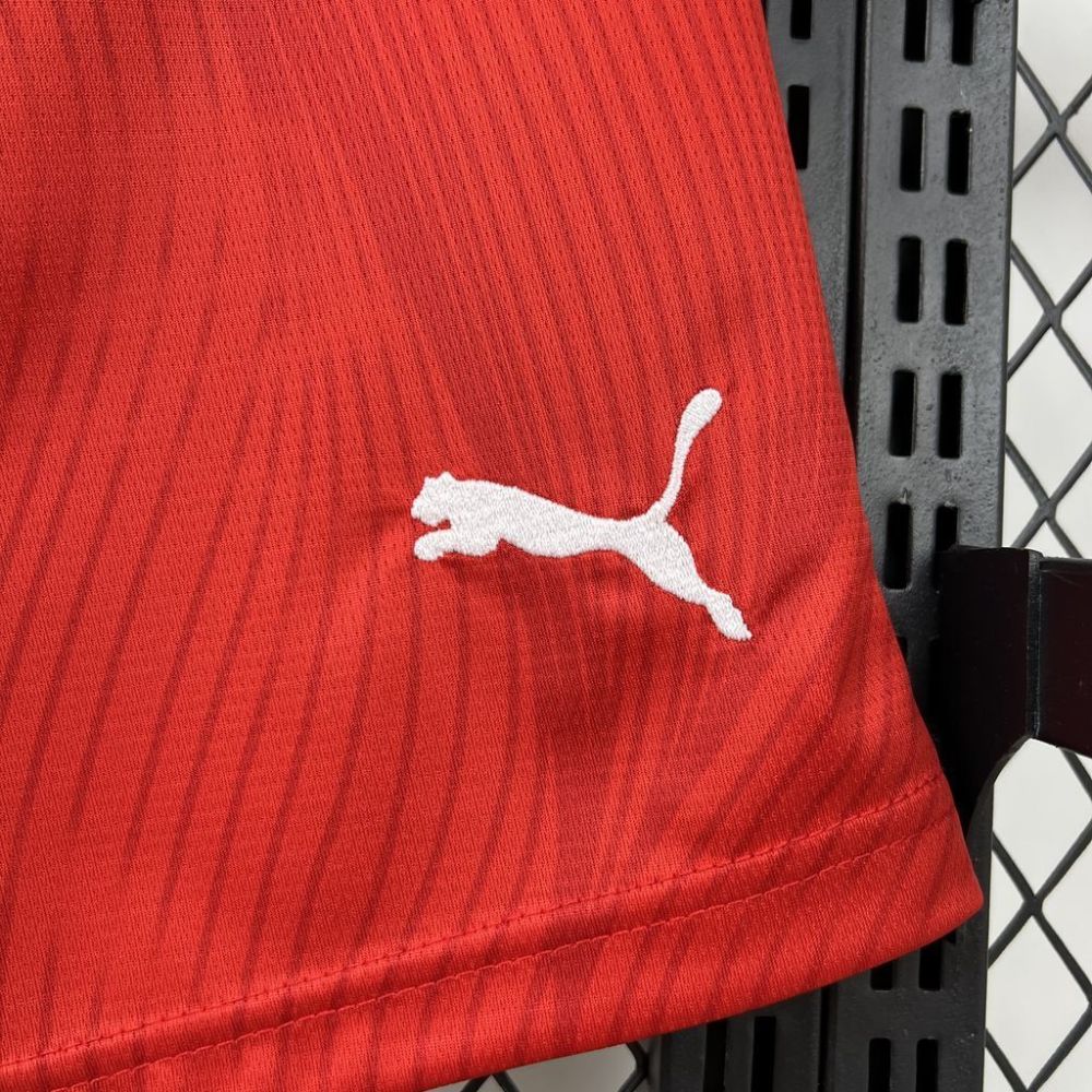 2026 Switzerland World Cup Home Soccer Shorts
