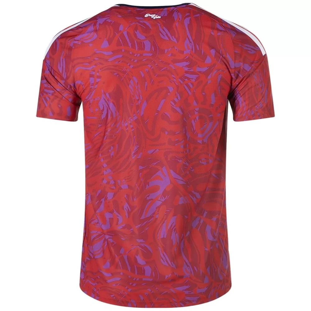 2026 Costa Rica  Home World Cup Soccer Jersey Player Version