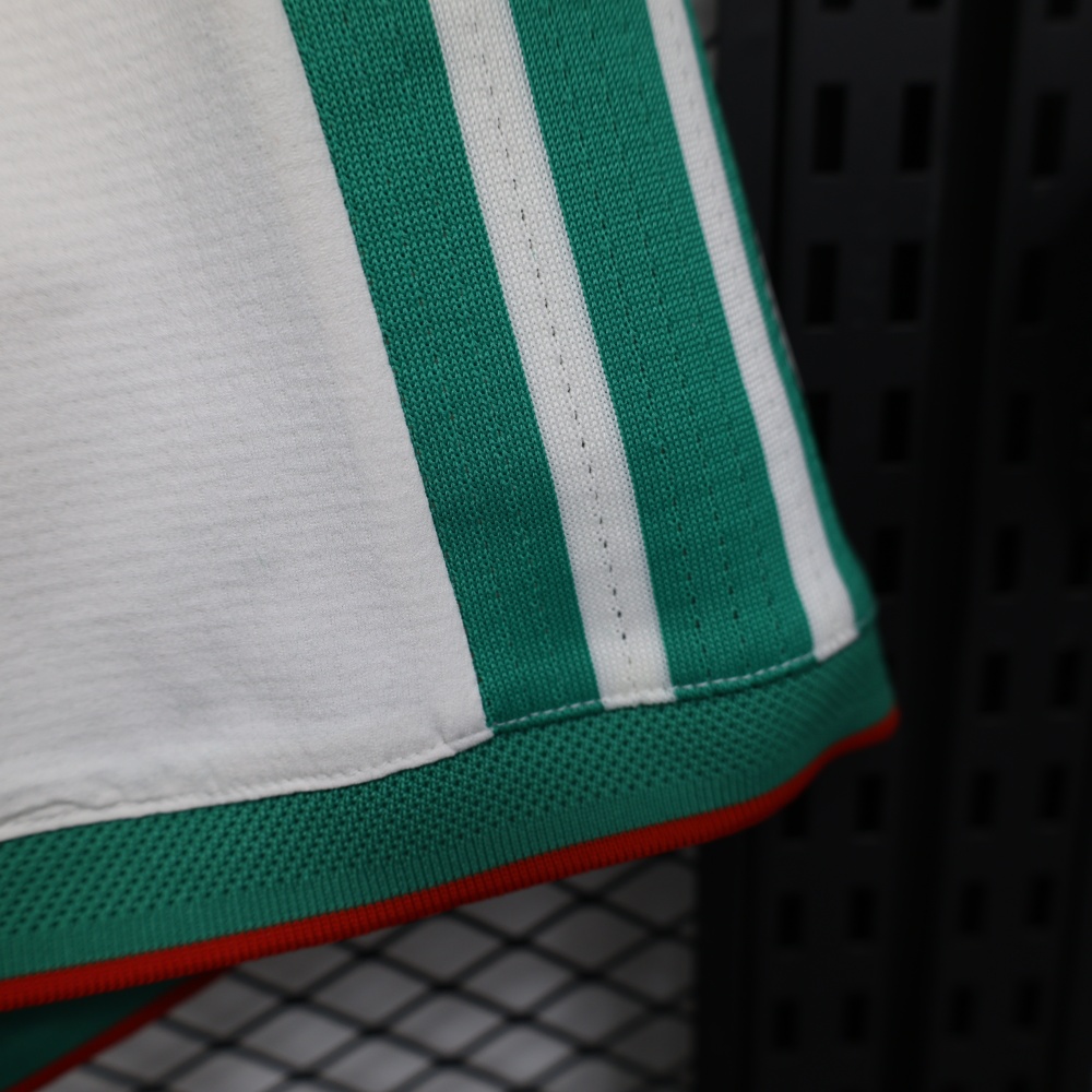 2026 Algeria Home World Cup Soccer Shorts Player Version