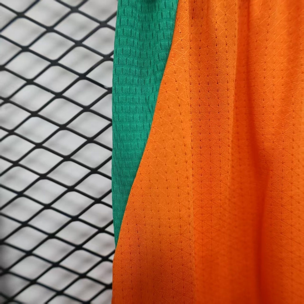 2026 Côte d'Ivoire Home World Cup Soccer Shorts Player Version