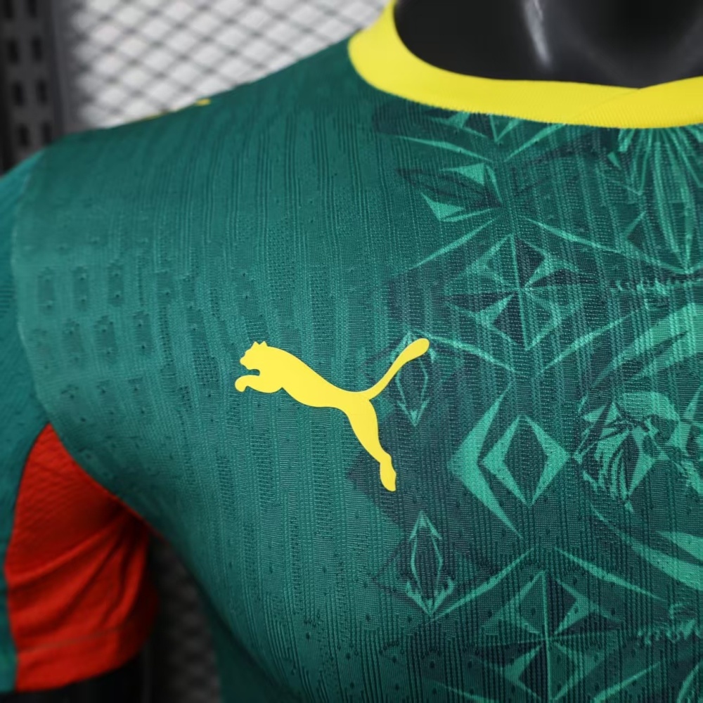 2026 Senegal Green World Cup Soccer Jersey Player Version