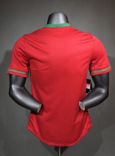 2012 Portugal  Euro Cup Home Retro Jersey Player Edition