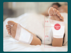 Herbal Foot Care Patch (Night Detox & Relaxation Foot Pads),,Herbal Foot Care Patch (Night Detox & Relaxation Foot Pads)