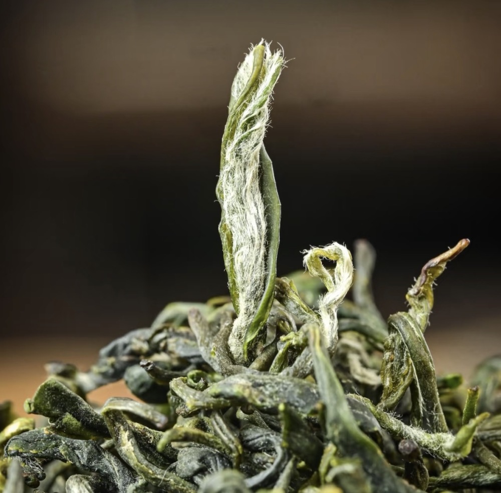 Duyun Maojian Tea