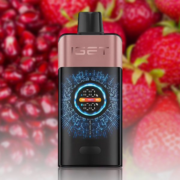 IGET ONE 12000-Puff Disposable Vape