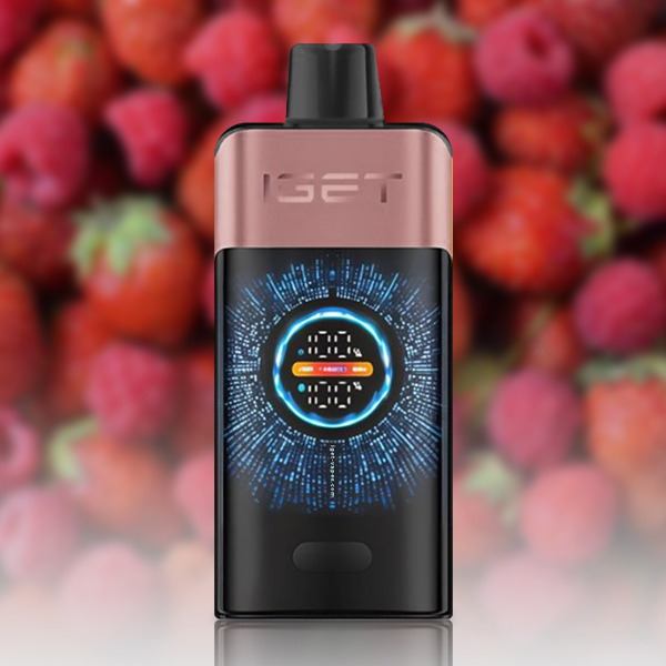 IGET ONE 12000-Puff Disposable Vape