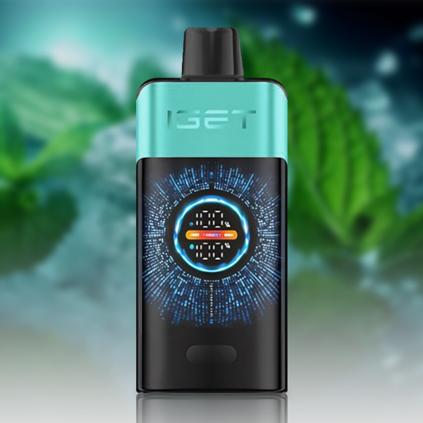 IGET ONE 12000-Puff Disposable Vape