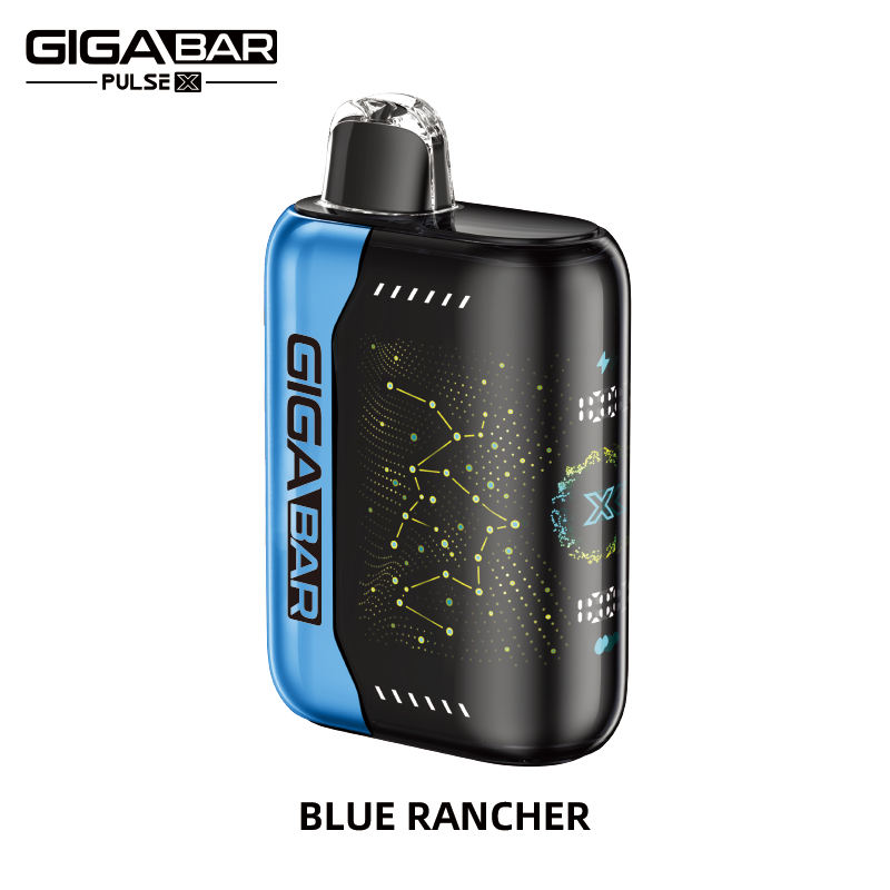 GIGA BAR Model 25000 Dual-Mode High Cloud Disposable Vape