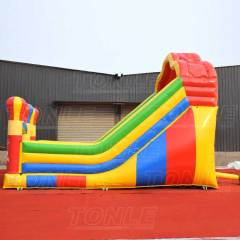 mickey mouse inflatable slide