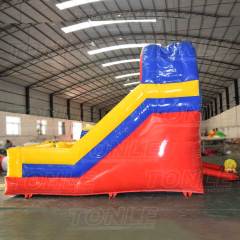mini double lane slide