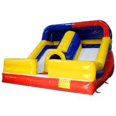 mini double lane slide