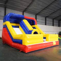 mini double lane slide