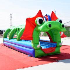 sea monster slip n slide