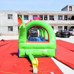 sea monster slip n slide