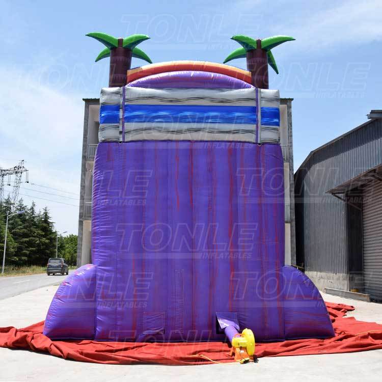 purple marble water slide
