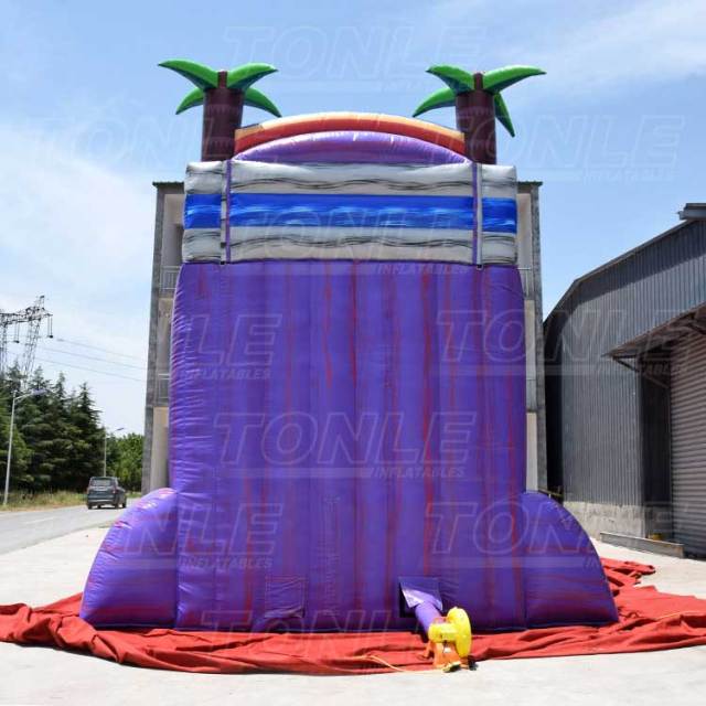 purple marble water slide