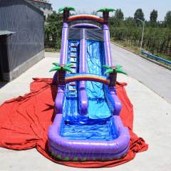 purple marble water slide
