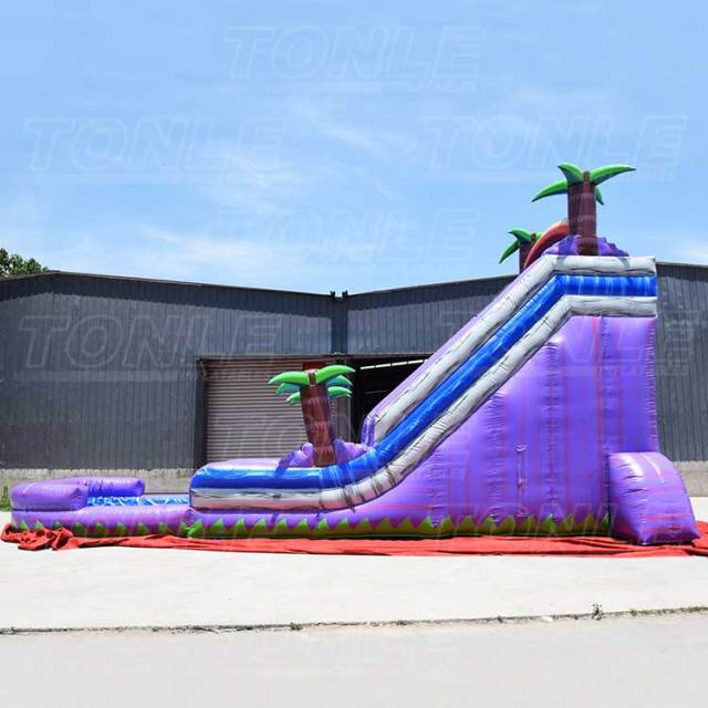 purple marble water slide