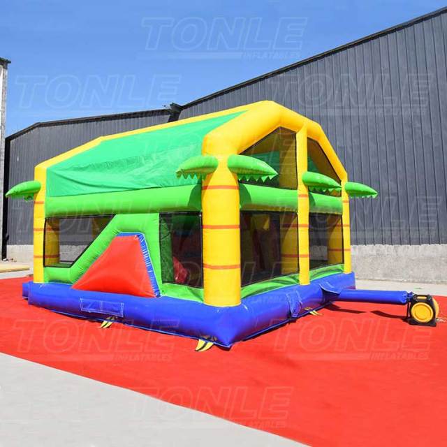 lion bouncy castle slide combo