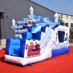 frozen bouncy castle with slide