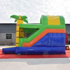 tiger bouncer