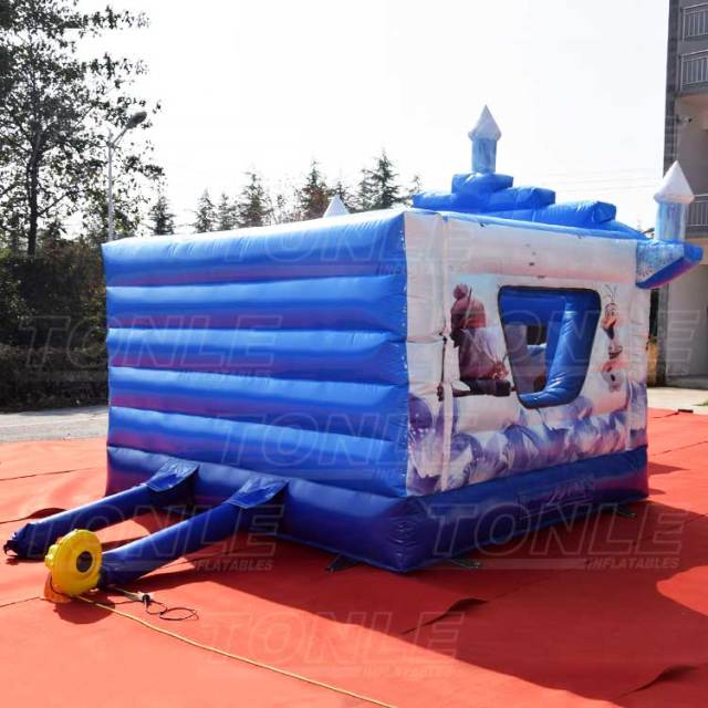 frozen bouncy castle with slide