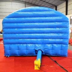 inflatable penguin hover ball