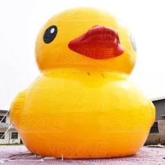 big yellow duck