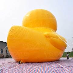 big yellow duck