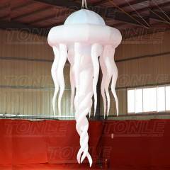 inflatable jellyfish