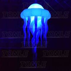 inflatable jellyfish
