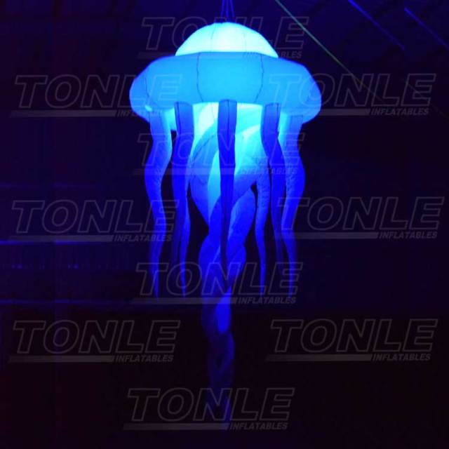inflatable jellyfish